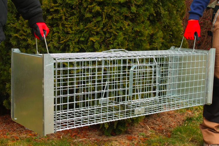 Snímka obrazovky 2025-07-28 o 9.35.09